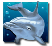 бонусный символ дельфин онлайн слота